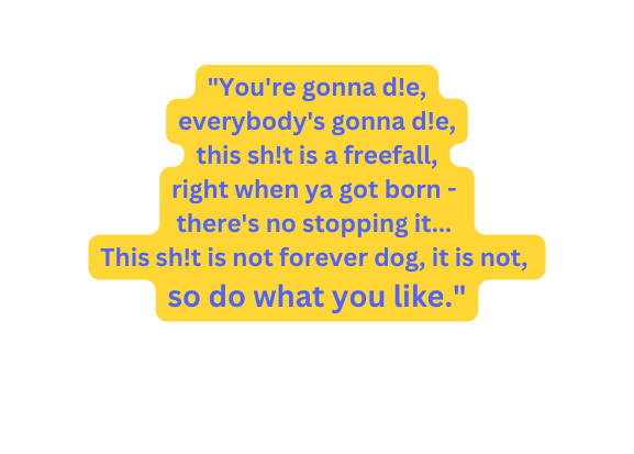 You re gonna d e everybody s gonna d e this sh t is a freefall right when ya got born there s no stopping it This sh t is not forever dog it is not so do what you like